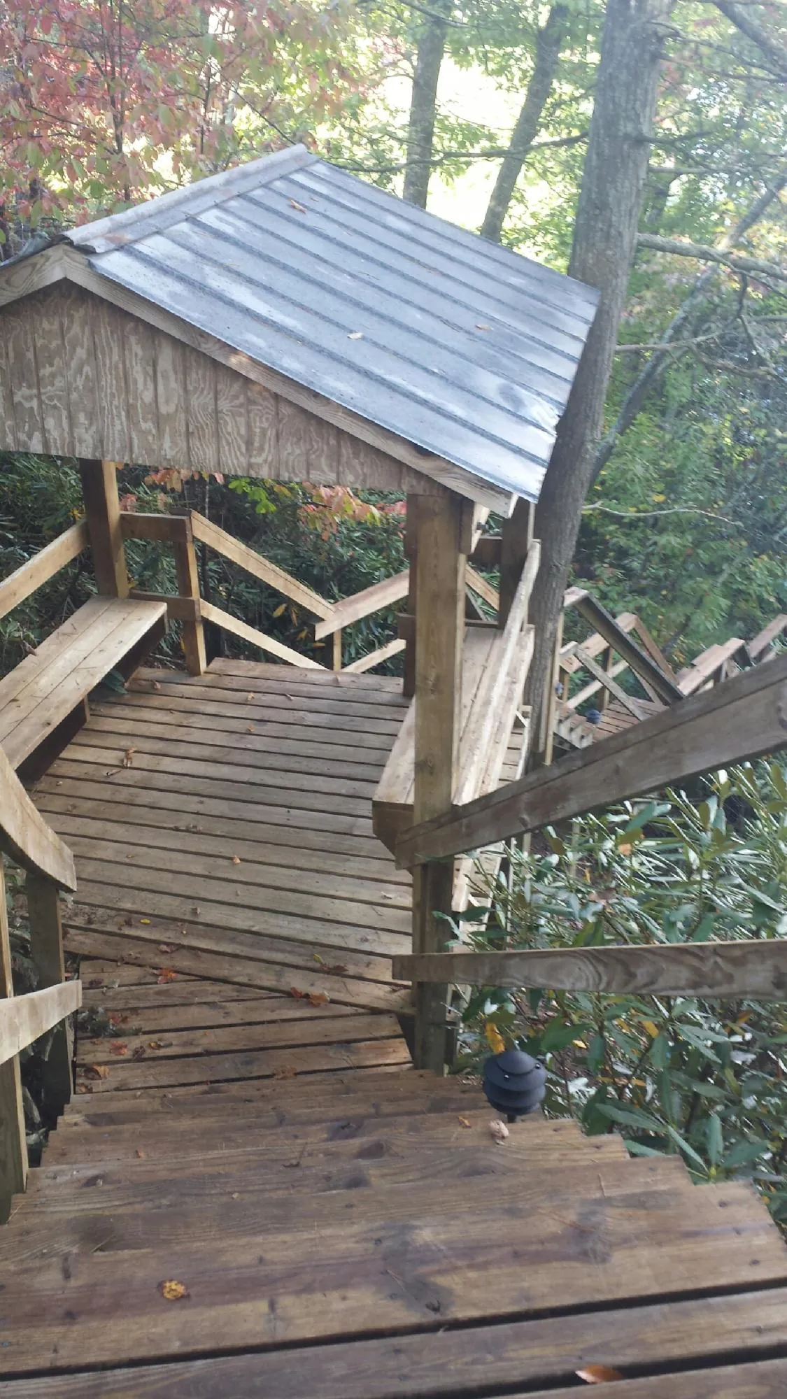 Metal roofed shelter over wooden steps on a wooded walkway — Skylight Repair & Installation work by our crew in Whigham